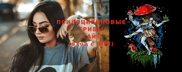 ГАЛЛЮЦИНОГЕННЫЕ ГРИБЫ Гусиноозёрск