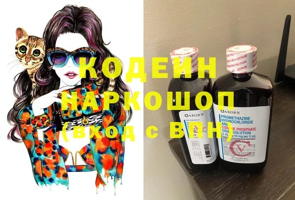 спиды Гусев