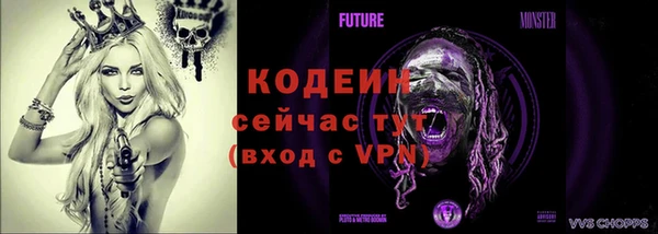 спиды Гусев