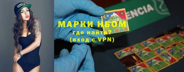 ГАЛЛЮЦИНОГЕННЫЕ ГРИБЫ Гусиноозёрск