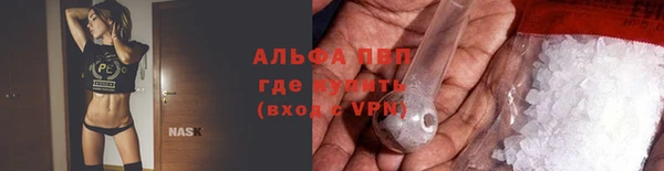 спиды Гусев