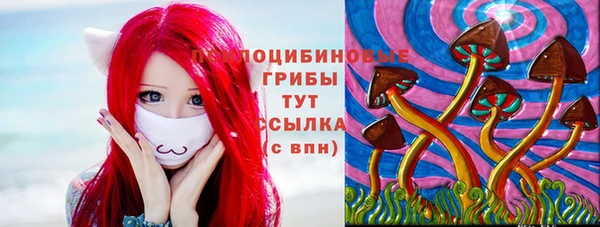 apvp Гусь-Хрустальный