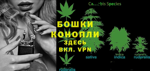 apvp Гусь-Хрустальный