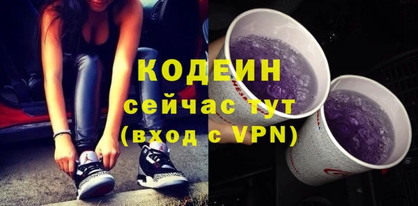 спиды Гусев