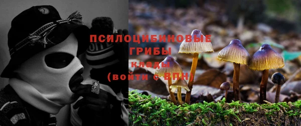 apvp Гусь-Хрустальный