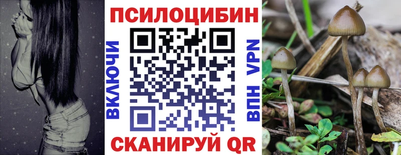 omg ONION  Ессентукская  Псилоцибиновые грибы мухоморы  магазин   