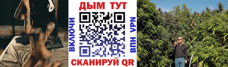 Конопля конопля Ессентукская
